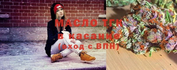 сатива Алзамай