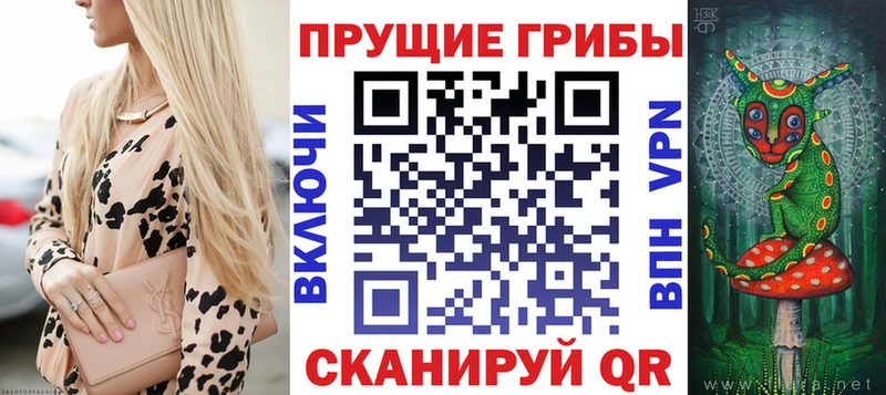 Галлюциногенные грибы Psilocybine cubensis  Кемь 